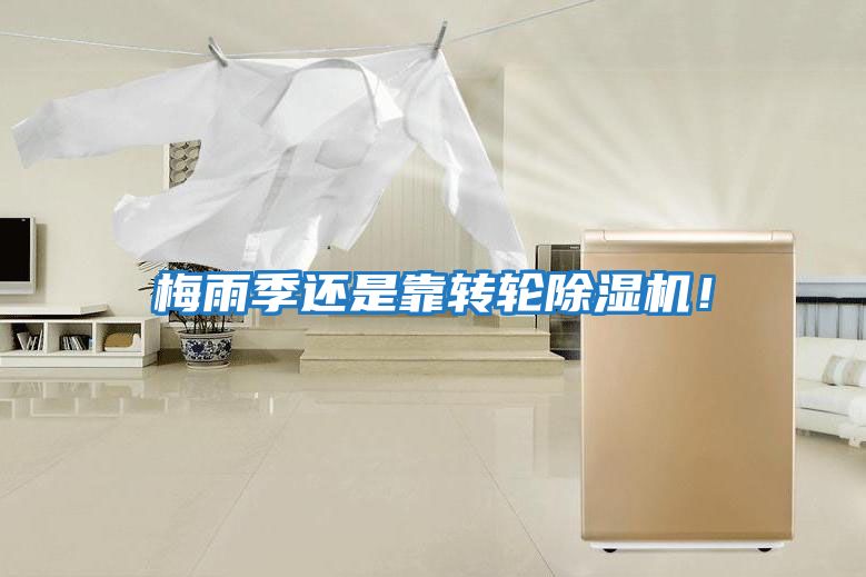 梅雨季還是靠轉輪除濕機！