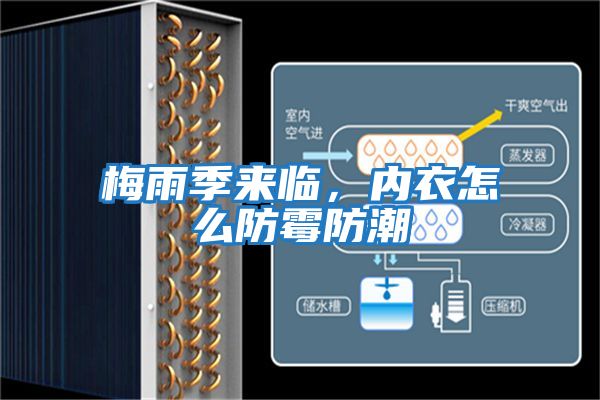 梅雨季來(lái)臨，內衣怎么防霉防潮