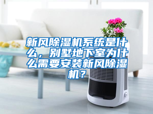 新風(fēng)除濕機系統是什么，別墅地下室為什么需要安裝新風(fēng)除濕機？