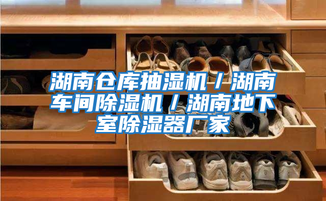 湖南倉庫抽濕機／湖南車(chē)間除濕機／湖南地下室除濕器廠(chǎng)家