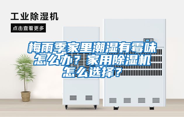 梅雨季家里潮濕有霉味怎么辦？家用除濕機怎么選擇？