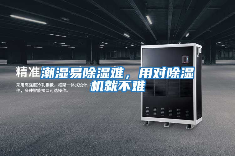 潮濕易除濕難，用對除濕機就不難