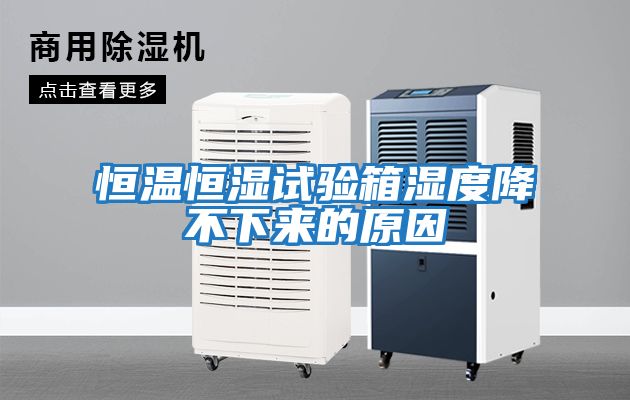 恒溫恒濕試驗箱濕度降不下來(lái)的原因