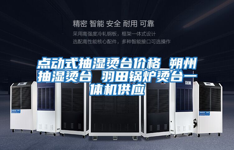 點(diǎn)動(dòng)式抽濕燙臺價(jià)格 朔州抽濕燙臺 羽田鍋爐燙臺一體機供應