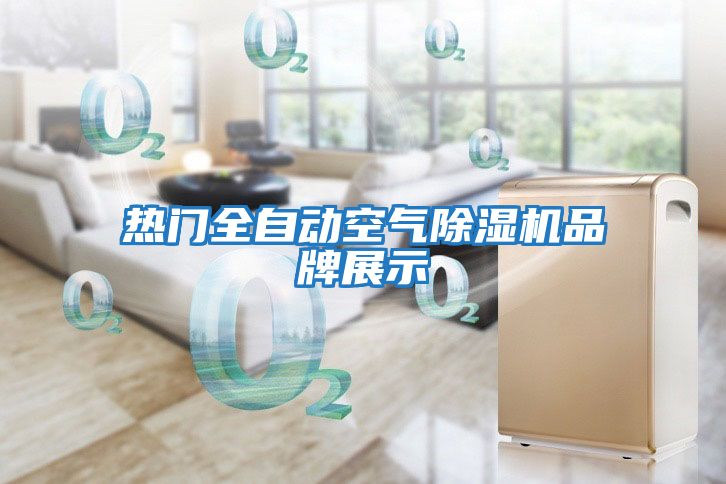 熱門(mén)全自動(dòng)空氣除濕機品牌展示