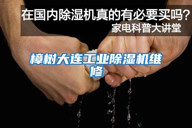 樟樹(shù)大連工業(yè)除濕機維修