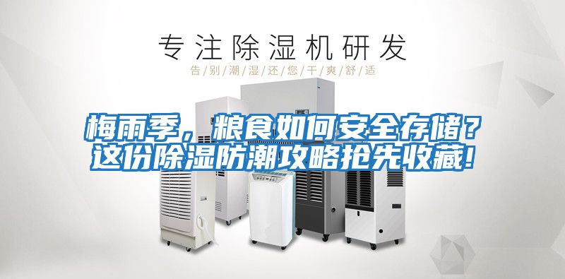 梅雨季，糧食如何安全存儲？這份除濕防潮攻略搶先收藏!