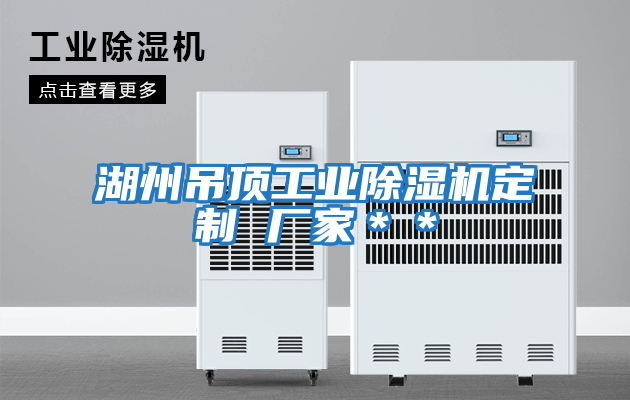 湖州吊頂工業(yè)除濕機定制 廠(chǎng)家＊＊
