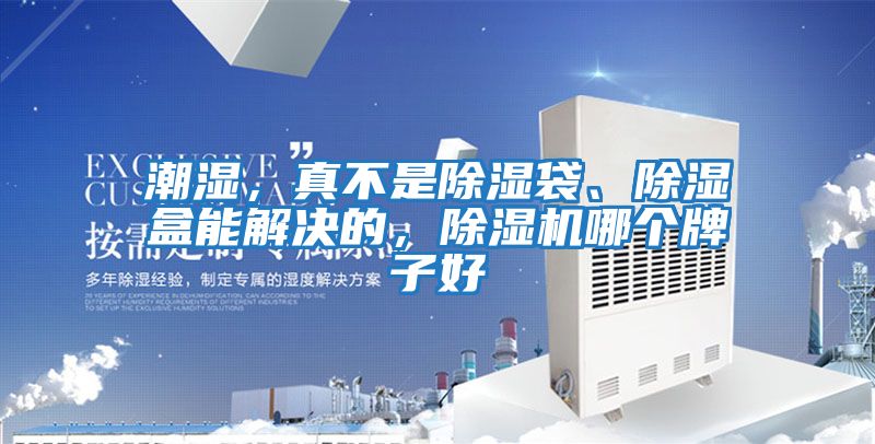 潮濕，真不是除濕袋、除濕盒能解決的，除濕機哪個(gè)牌子好