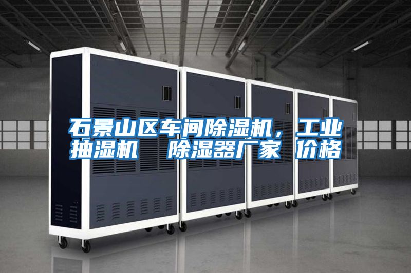 石景山區車(chē)間除濕機，工業(yè)抽濕機  除濕器廠(chǎng)家 價(jià)格