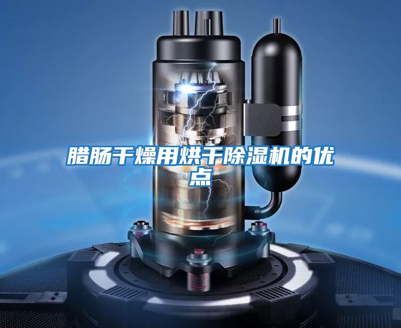 臘腸干燥用烘干除濕機的優(yōu)點(diǎn)