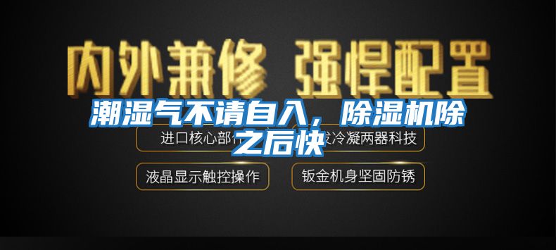 潮濕氣不請自入，除濕機除之后快