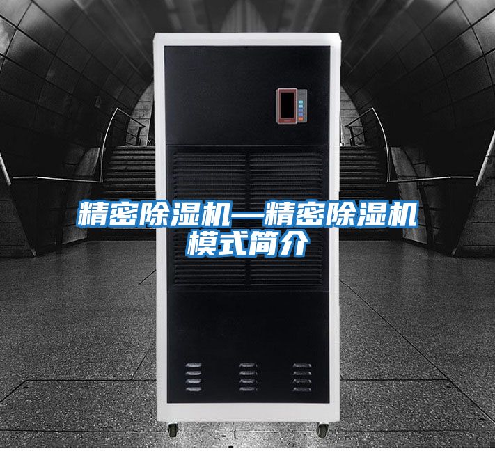 精密除濕機—精密除濕機模式簡(jiǎn)介