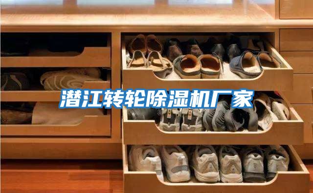 潛江轉輪除濕機廠(chǎng)家