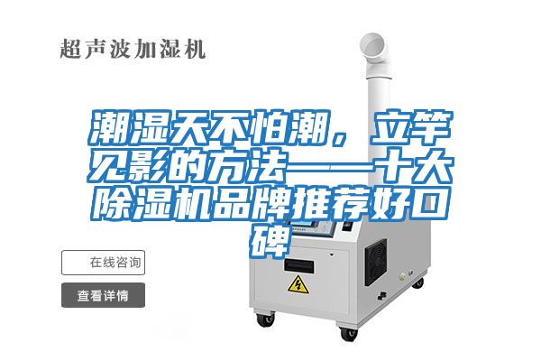 潮濕天不怕潮，立竿見(jiàn)影的方法——十大除濕機品牌推薦好口碑
