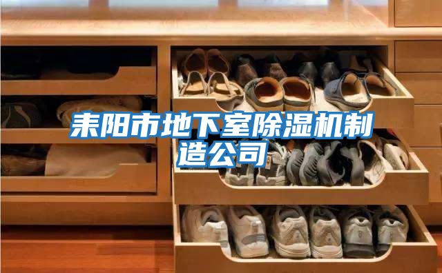 耒陽(yáng)市地下室除濕機制造公司