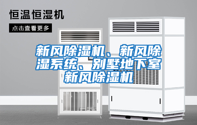 新風(fēng)除濕機、新風(fēng)除濕系統、別墅地下室新風(fēng)除濕機