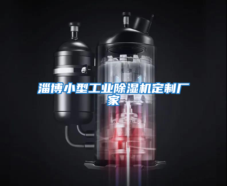 淄博小型工業(yè)除濕機定制廠(chǎng)家
