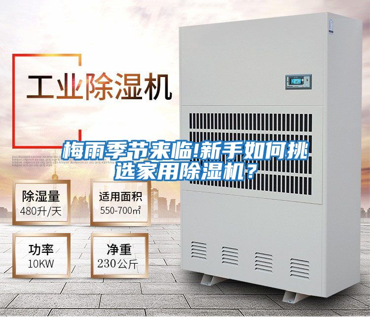 梅雨季節來(lái)臨!新手如何挑選家用除濕機？