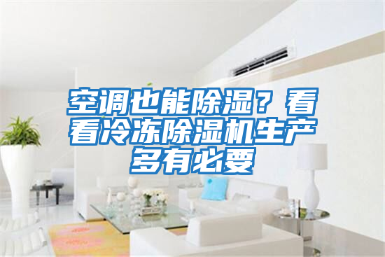 空調也能除濕？看看冷凍除濕機生產(chǎn)多有必要