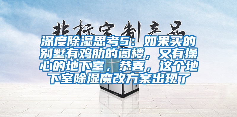 深度除濕思考5：如果買(mǎi)的別墅有雞肋的閣樓，又有操心的地下室，恭喜，這個(gè)地下室除濕魔改方案出現了