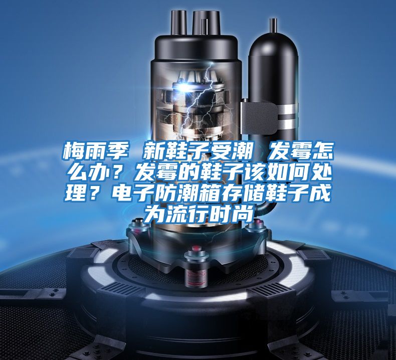梅雨季 新鞋子受潮 發(fā)霉怎么辦？發(fā)霉的鞋子該如何處理？電子防潮箱存儲鞋子成為流行時(shí)尚