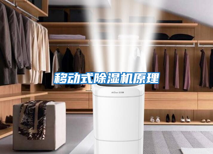 移動(dòng)式除濕機原理