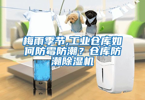 梅雨季節,工業(yè)倉庫如何防霉防潮？倉庫防潮除濕機