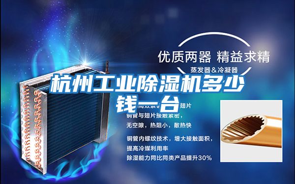 杭州工業(yè)除濕機多少錢(qián)一臺