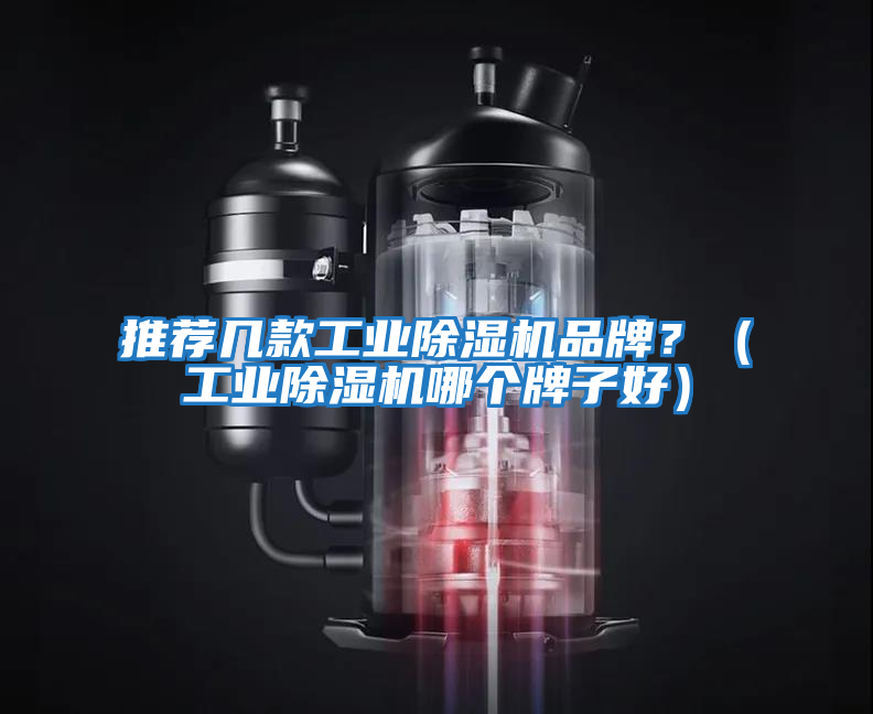 推薦幾款工業(yè)除濕機品牌？（工業(yè)除濕機哪個(gè)牌子好）