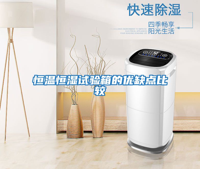 恒溫恒濕試驗箱的優(yōu)缺點(diǎn)比較