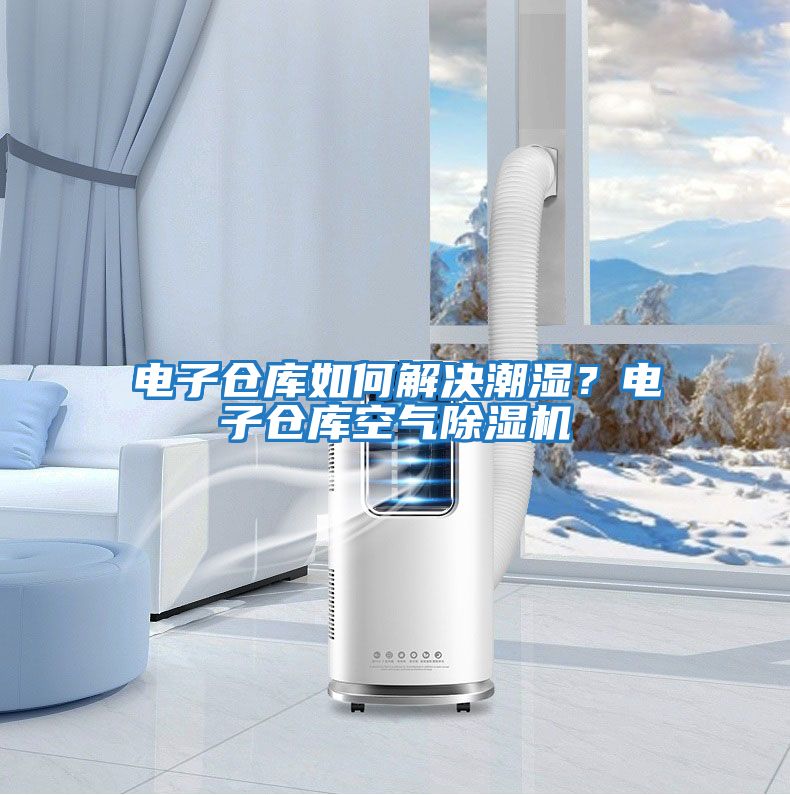 電子倉庫如何解決潮濕？電子倉庫空氣除濕機