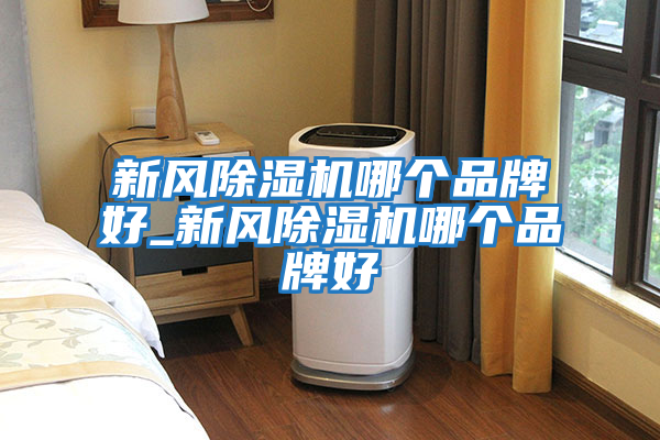 新風(fēng)除濕機哪個(gè)品牌好_新風(fēng)除濕機哪個(gè)品牌好