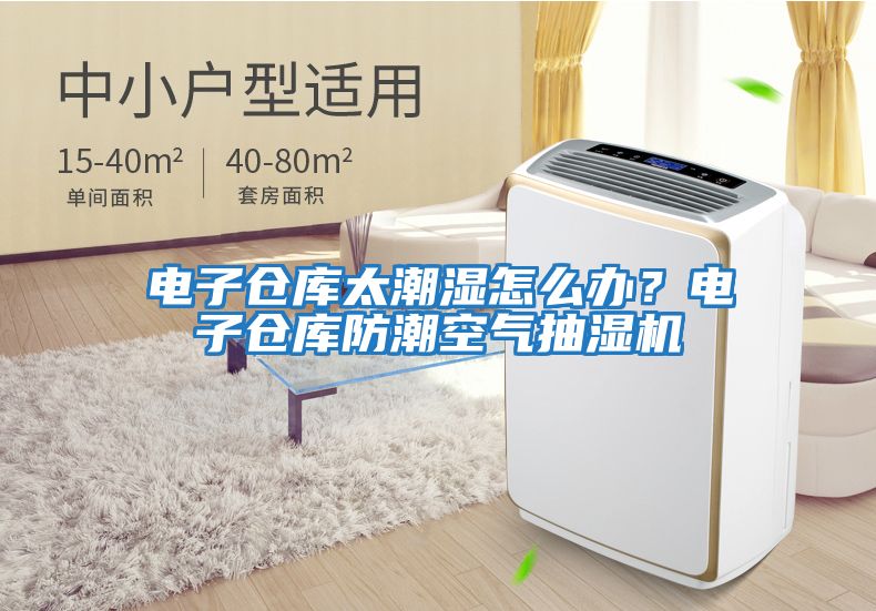 電子倉庫太潮濕怎么辦？電子倉庫防潮空氣抽濕機