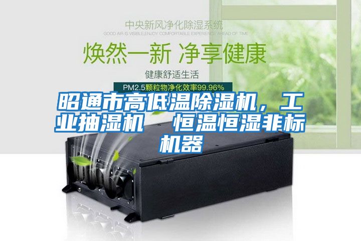 昭通市高低溫除濕機，工業(yè)抽濕機  恒溫恒濕非標機器