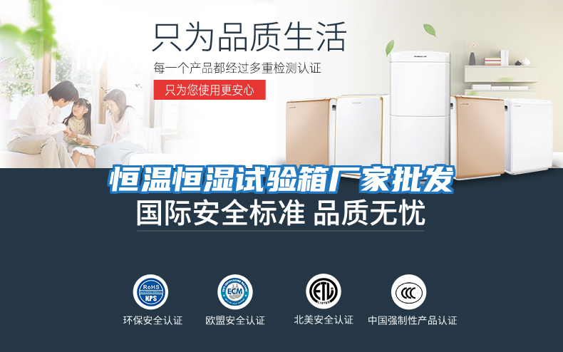 恒溫恒濕試驗箱廠(chǎng)家批發(fā)