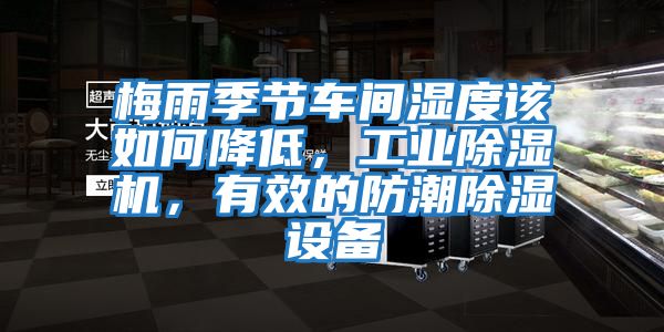 梅雨季節車(chē)間濕度該如何降低，工業(yè)除濕機，有效的防潮除濕設備