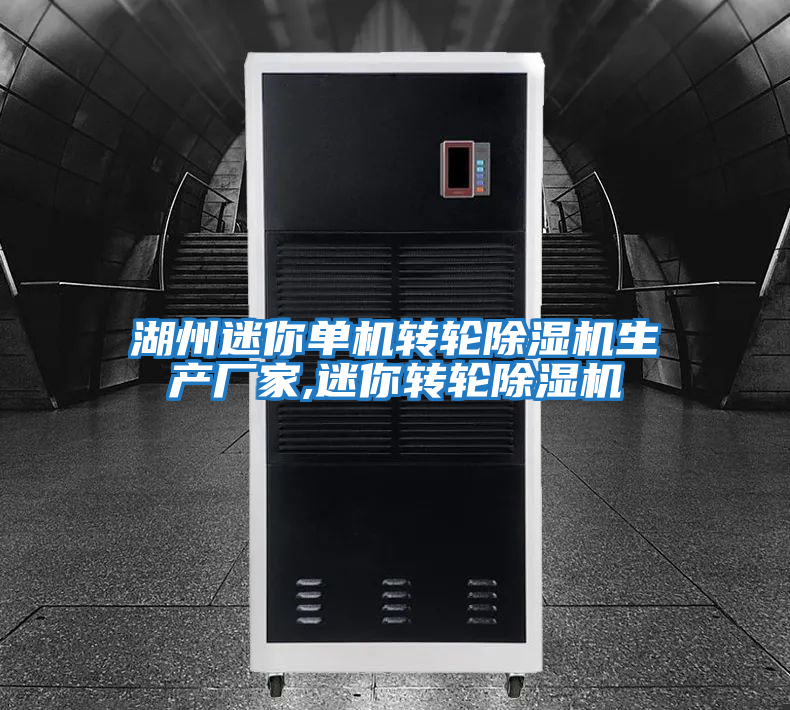 湖州迷你單機轉輪除濕機生產(chǎn)廠(chǎng)家,迷你轉輪除濕機