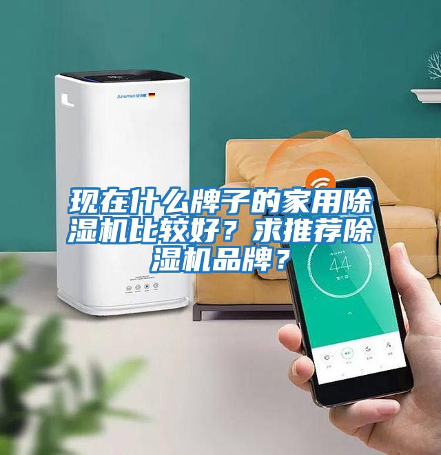 現在什么牌子的家用除濕機比較好？求推薦除濕機品牌？