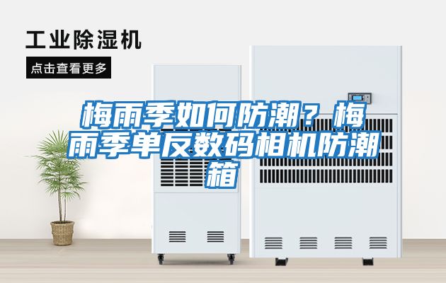 梅雨季如何防潮？梅雨季單反數碼相機防潮箱
