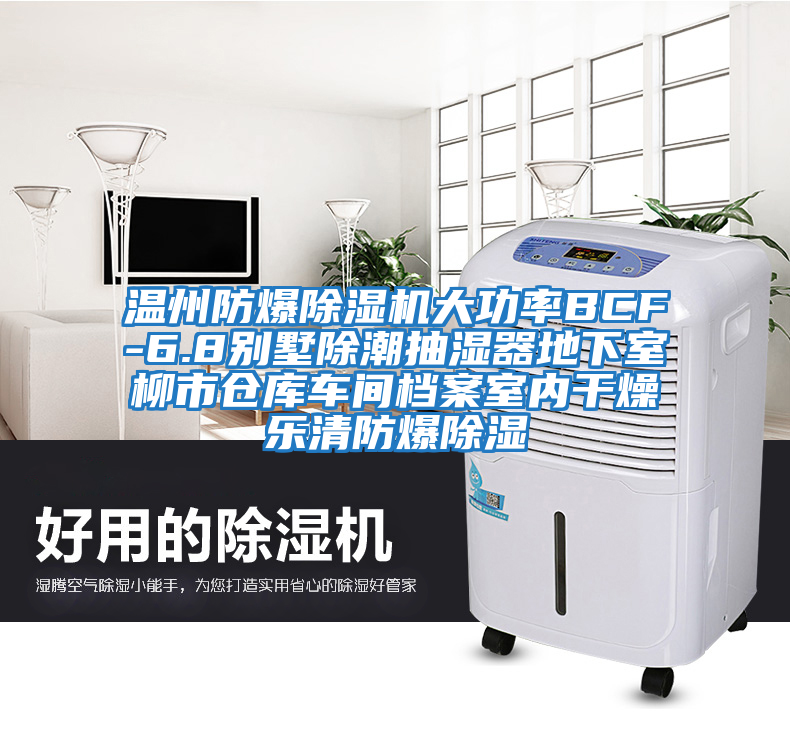 溫州防爆除濕機大功率BCF-6.8別墅除潮抽濕器地下室柳市倉庫車(chē)間檔案室內干燥樂(lè )清防爆除濕