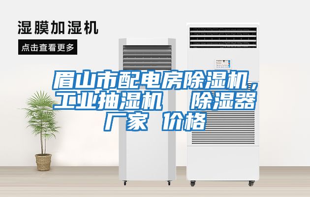 眉山市配電房除濕機，工業(yè)抽濕機  除濕器廠(chǎng)家 價(jià)格