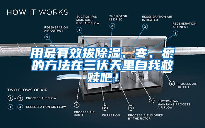 用最有效拔除濕、寒、瘀的方法在三伏天里自我救贖吧！