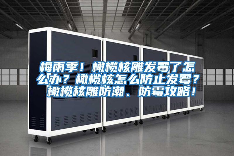梅雨季！橄欖核雕發(fā)霉了怎么辦？橄欖核怎么防止發(fā)霉？ 橄欖核雕防潮、防霉攻略！