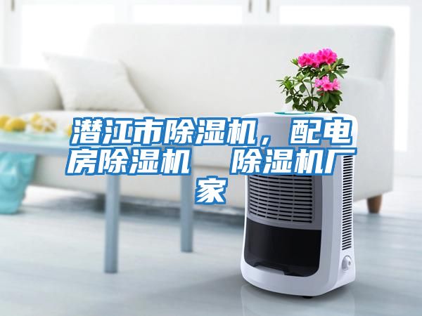 潛江市除濕機，配電房除濕機  除濕機廠(chǎng)家