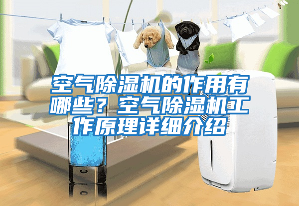 空氣除濕機的作用有哪些？空氣除濕機工作原理詳細介紹