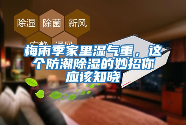 梅雨季家里濕氣重，這個(gè)防潮除濕的妙招你應該知曉