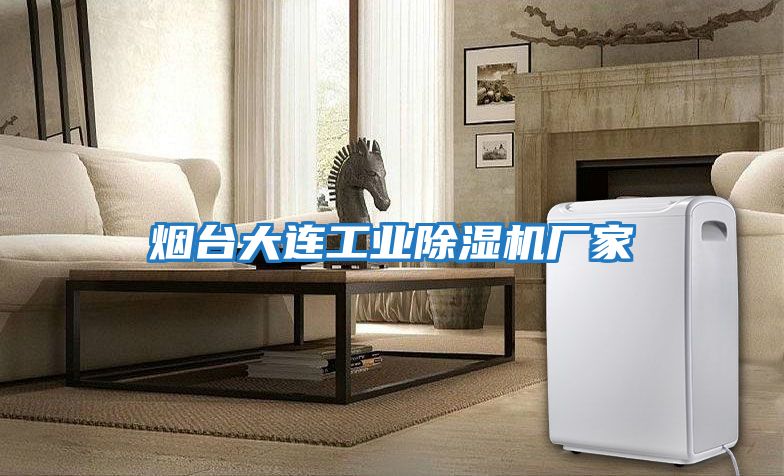 煙臺大連工業(yè)除濕機廠(chǎng)家