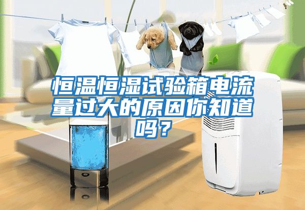 恒溫恒濕試驗箱電流量過(guò)大的原因你知道嗎？