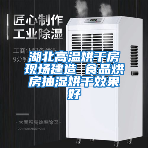 湖北高溫烘干房現場(chǎng)建造 食品烘房抽濕烘干效果好